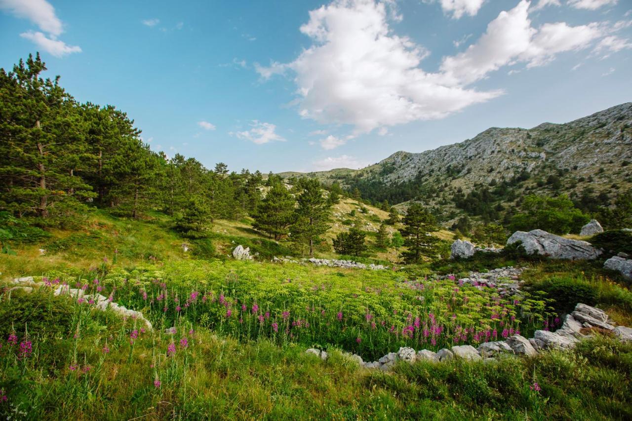 Apartman Magdalena Apartment Makarska Ngoại thất bức ảnh